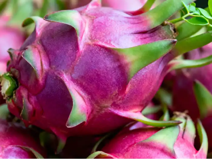 How Do You Use Pitaya Powder?